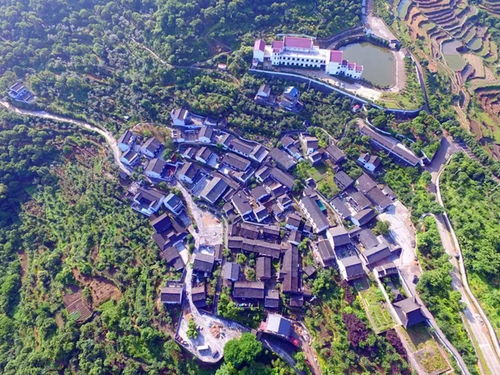 嵊州新昌人常去的免費寶地，如今榮膺國家4A級景區